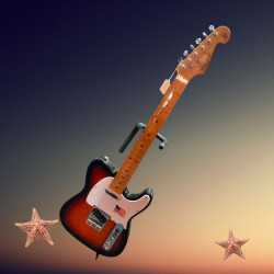 SX E-Gitarre Tele-Style ALD-Serie