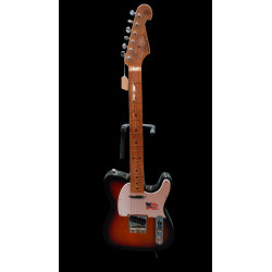 SX E-Gitarre Tele-Style ALD-Serie