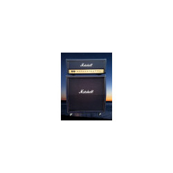 Marshall Vintage Modern 2466 + 425A