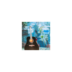 Richwood Artist Series Linkshänder-Akustikgitarre Dreadnought RD-12L-BK