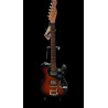 Richwood-375-3SB Master Series "Buckaroo Deluxe Tremola