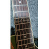 Fender Vince Ray Spook Show Electro Acoustic Guitar