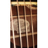 Fender Vince Ray Spook Show Electro Acoustic Guitar