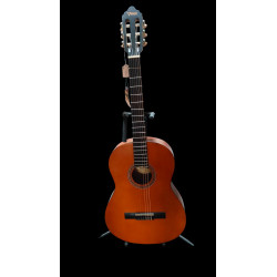 Valencia Klassik Gitarre