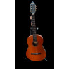 Valencia Klassik Gitarre