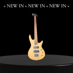 Monolite 4 String Bass