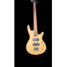 Monolite 4 String Bass