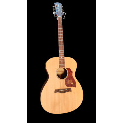 Richwood Master Series Handgefertigte Auditorium OOO A 20