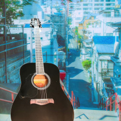 Richwood Artist Series Linkshänder-Akustikgitarre Dreadnought RD-12L-BK