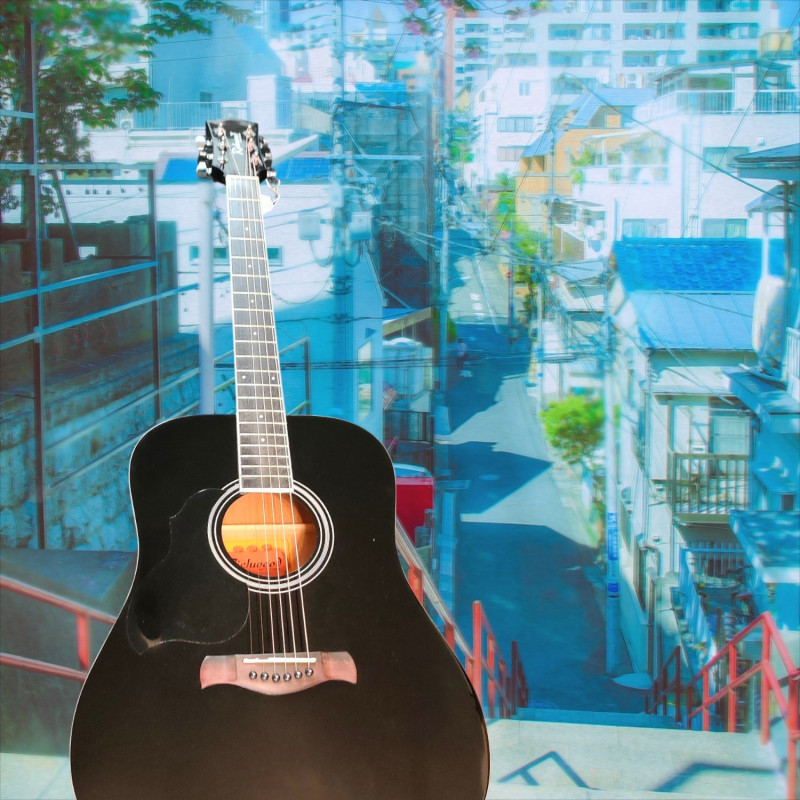Richwood Artist Series Linkshänder-Akustikgitarre Dreadnought RD-12L-BK