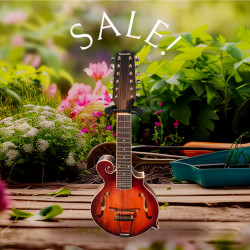 Richwood 12 String Mandoline inkl Koffer