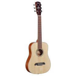 Alvarez RT26 Regent, Dreadnought
