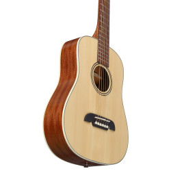 Alvarez RT26 Regent, Dreadnought